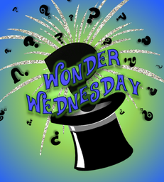 Wonder Wednesday Image